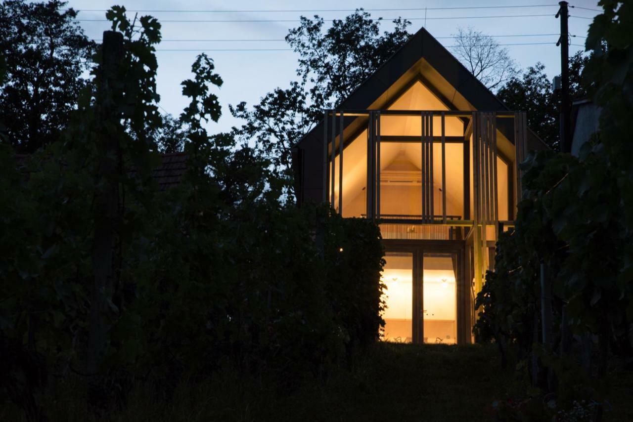 Weinlofts Weinloft II Villa Eisenberg an der Pinka Dış mekan fotoğraf